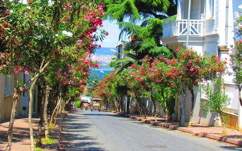 Daily Princes’ Islands Tour: Full-Day Trip in Istanbul