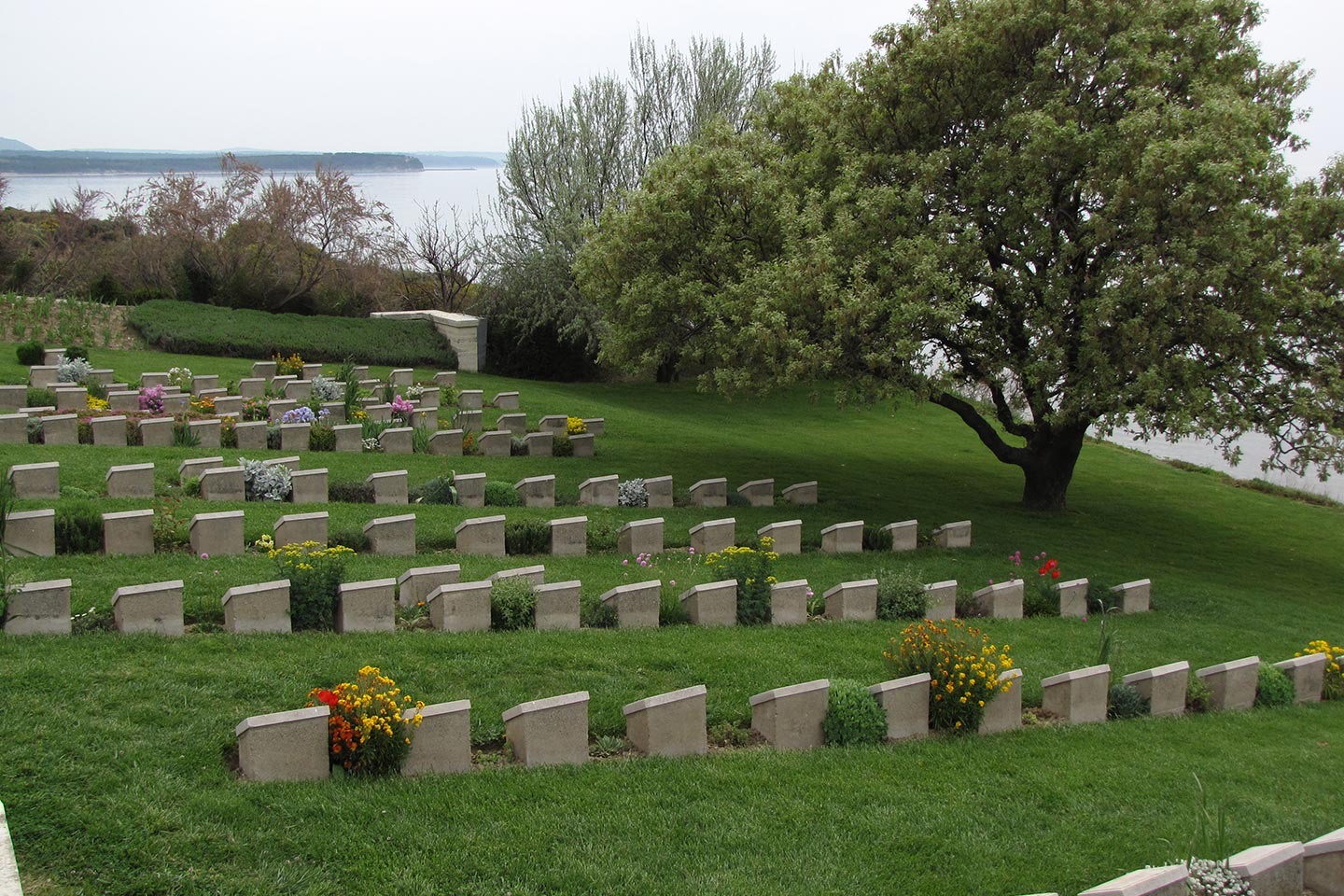 Daily Gallipoli Tour from Istanbul